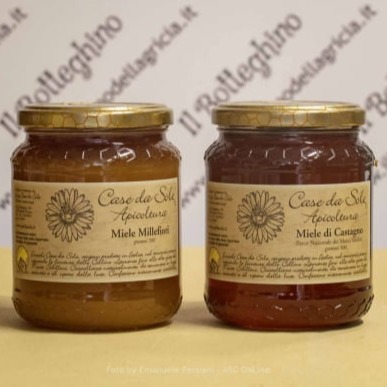 miele del parco nazionale dei monti sibillini